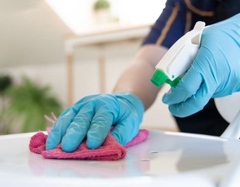Local cleaning services near Minnetonka