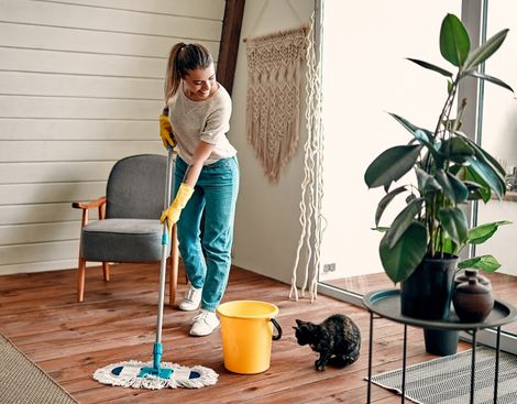 cleaning services in Minnetonka