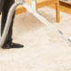Carpet Cleaner | MJM Clean