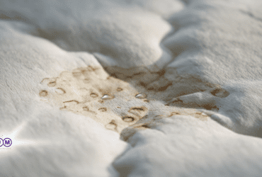 Pee Stain on Mattress